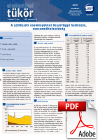 A sz�l�szeti esem�nyekkel �sszef�gg� hal�loz�s, csecsem�haland�s�g