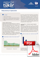 Betegszabads�g �s t�pp�nzadatok