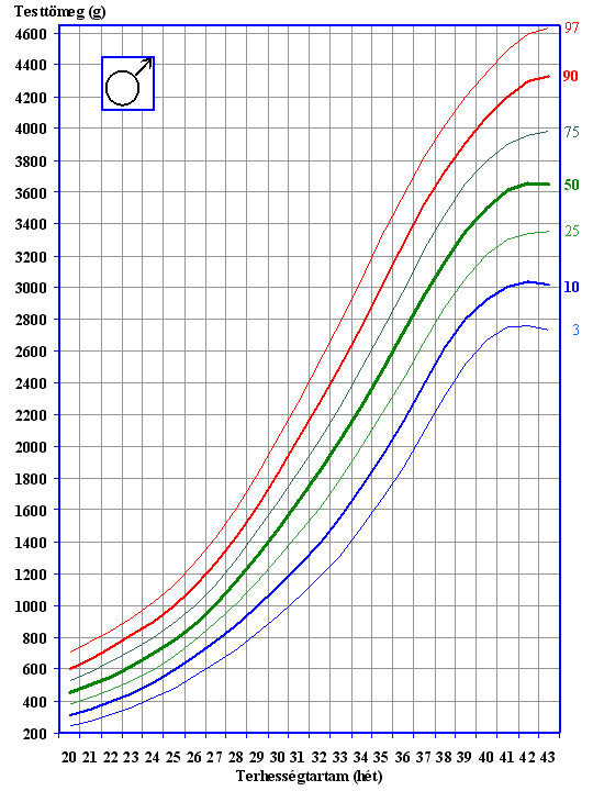 A sz�let�skori testt�meg referencia-percencentilisei az 1990&ndash;96 �vi orsz�gos sz�let�si adatok alapj�n (fi�k)