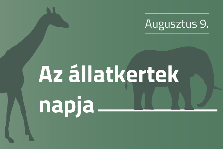 Az állatkertek napja, augusztus 9.