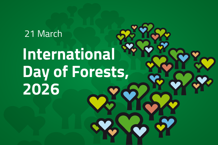 International Day of Forests, 21 March 2026