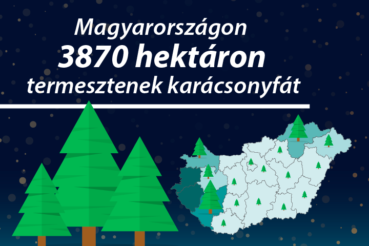 Karácsony, 2023