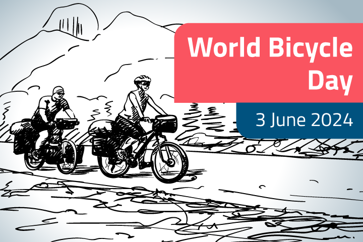 World Bicycle Day