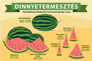Dinnyetermesztés