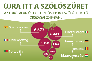 Újra itt a szőlőszüret